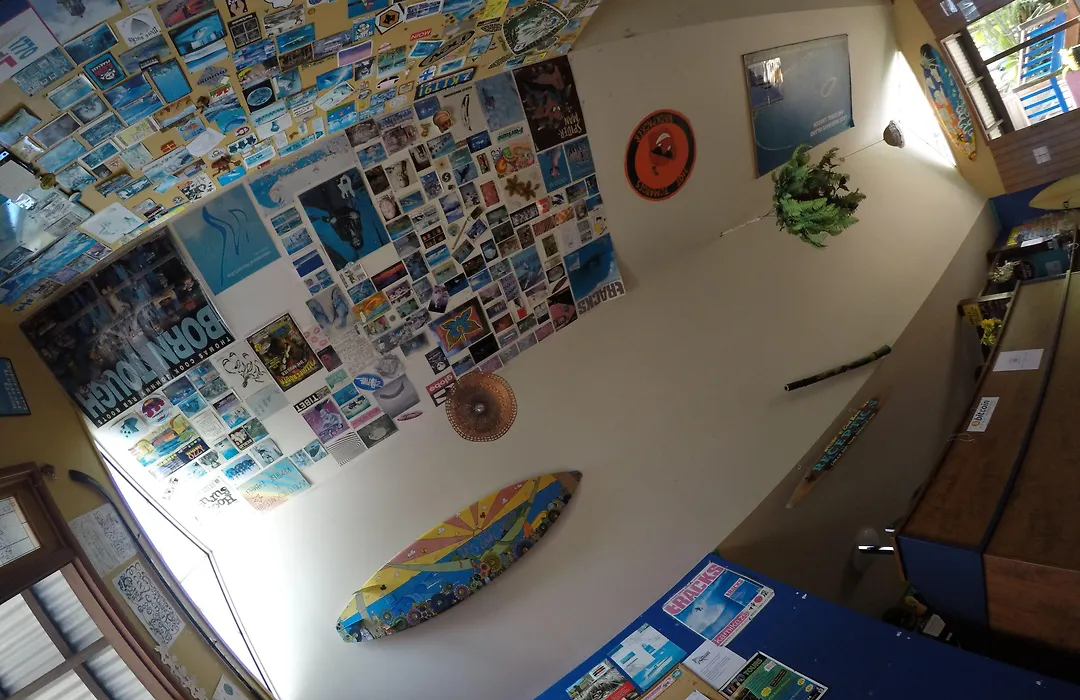 Cool Bananas Backpackers-1